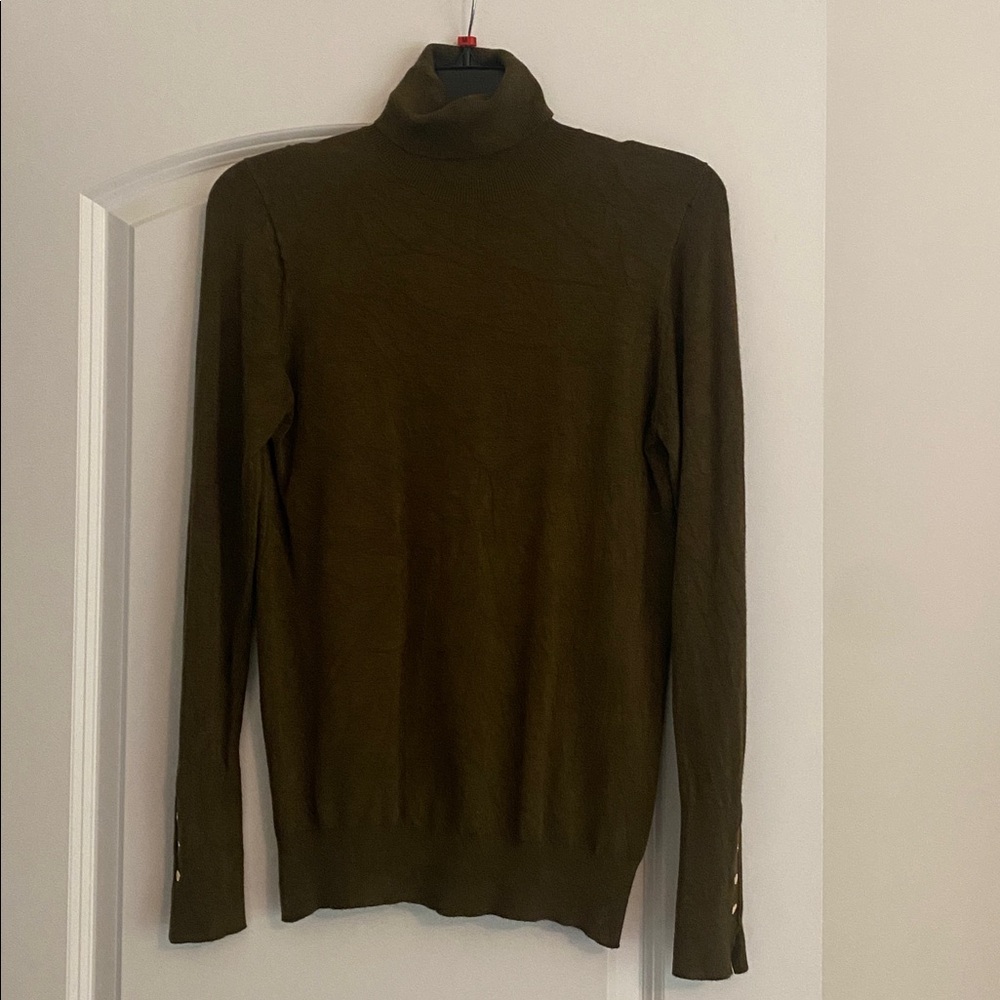 Zara Turtleneck Sweater